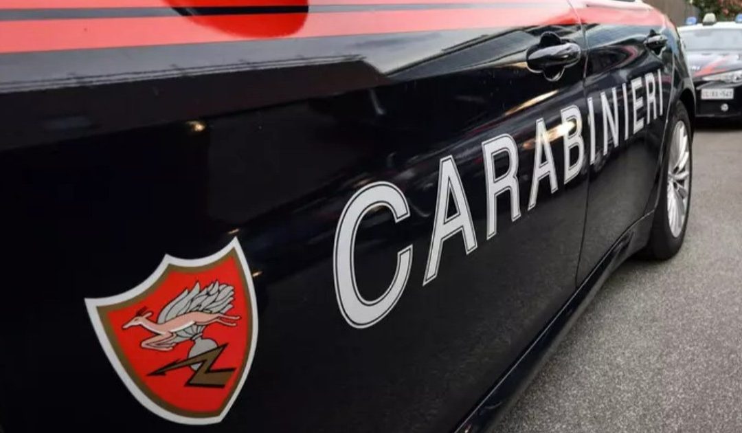 Si ribalta muletto in frantoio, muore 26enne nel nord Barese