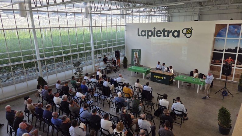 Confagricoltura ed Enel insieme verso le agroenergie per la transizione, presentato uno studio a Monopoli