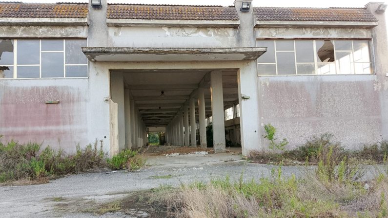 Mercati generali di Vibo nel degrado, ma c'è il bando del Comune per recuperarli
