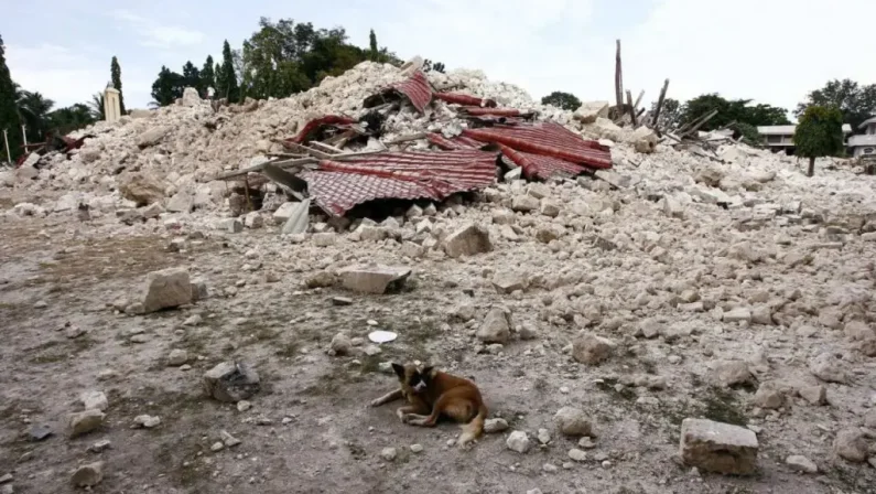 Violento terremoto nelle Filippine, almeno 69 morti. Decine i feriti
