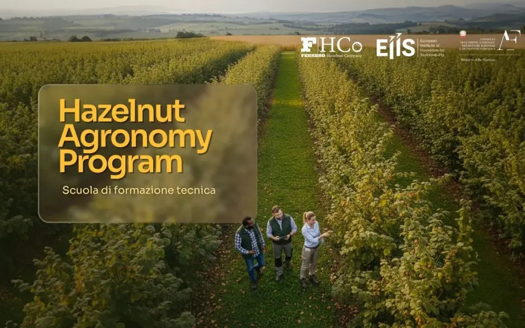 Al via l’Hazelnut Agronomy Program promosso da Ferrero, Eiis e Conaf
