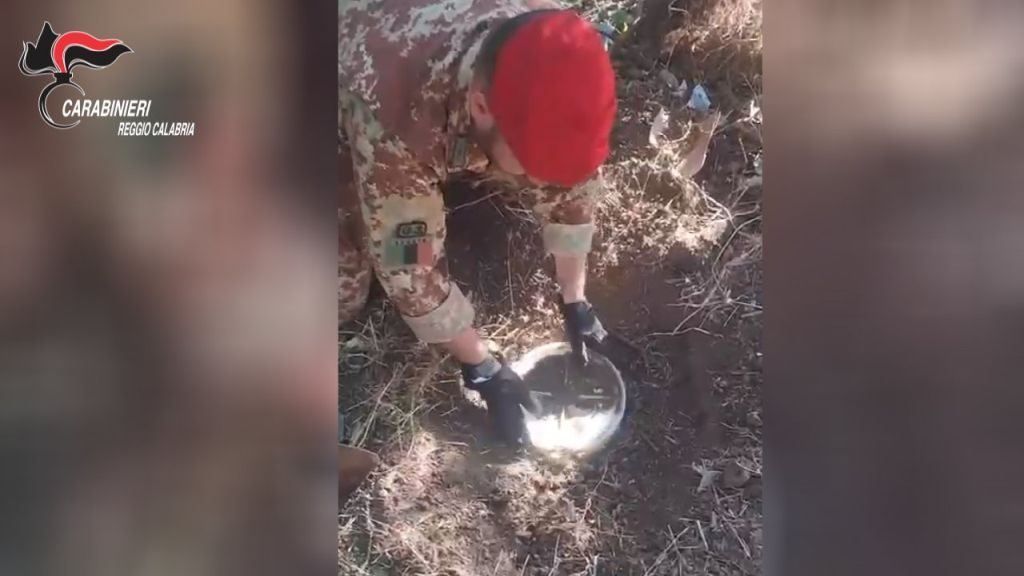 Decine di kg di droga sotterrati nelle campagne, arrestato un 28enne di Gioiosa Ionica