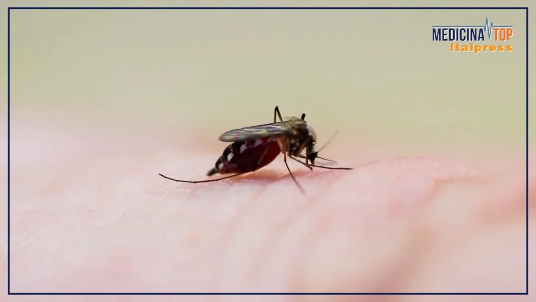 Malattie infettive tropicali, cresce l’attenzione anche in Italia