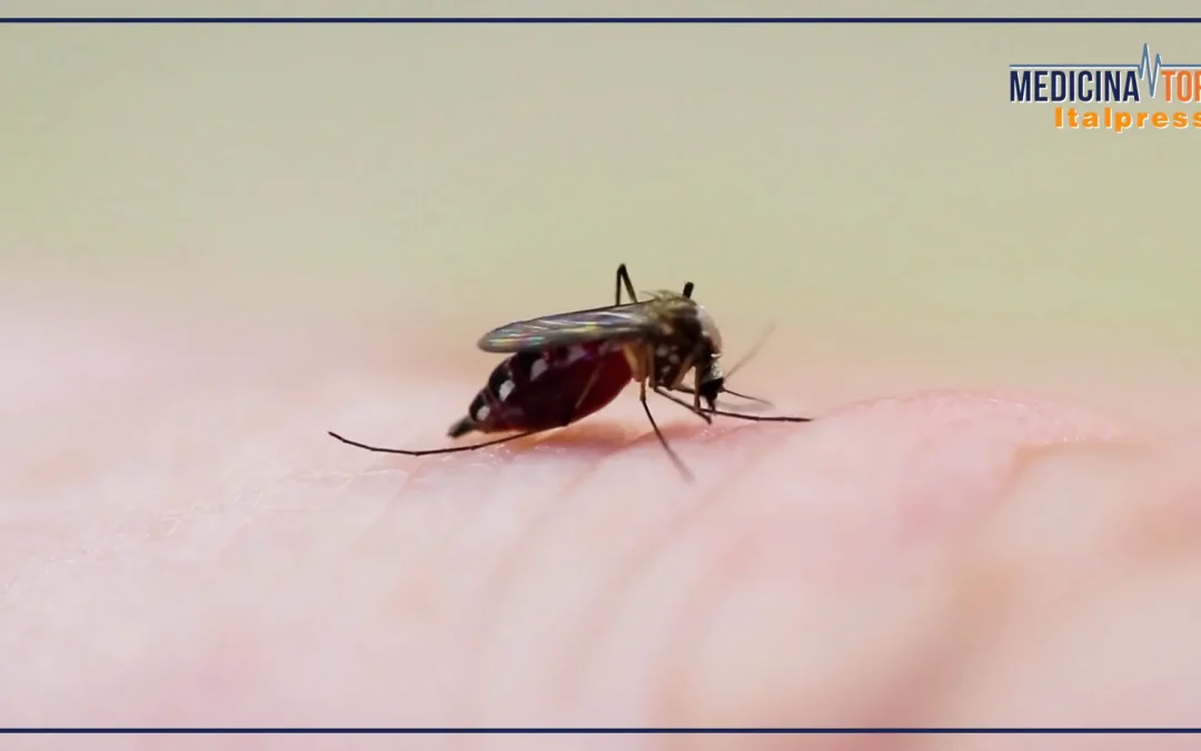 Malattie infettive tropicali, cresce l’attenzione anche in Italia