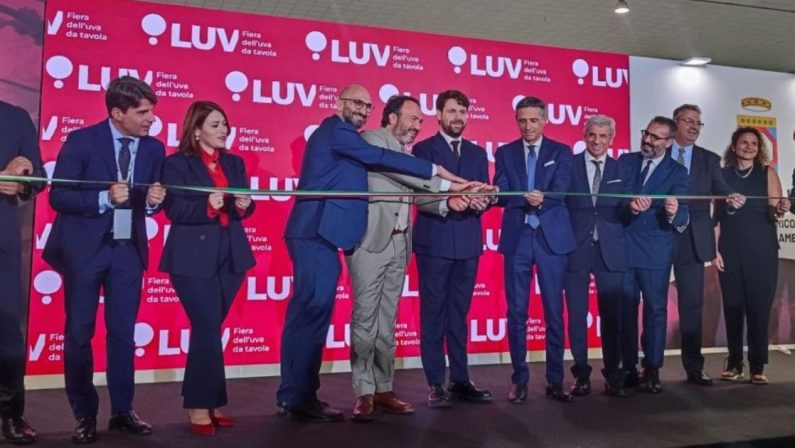 A Bari torna LUV Fiera, l’evento europeo dedicato all’uva da tavola