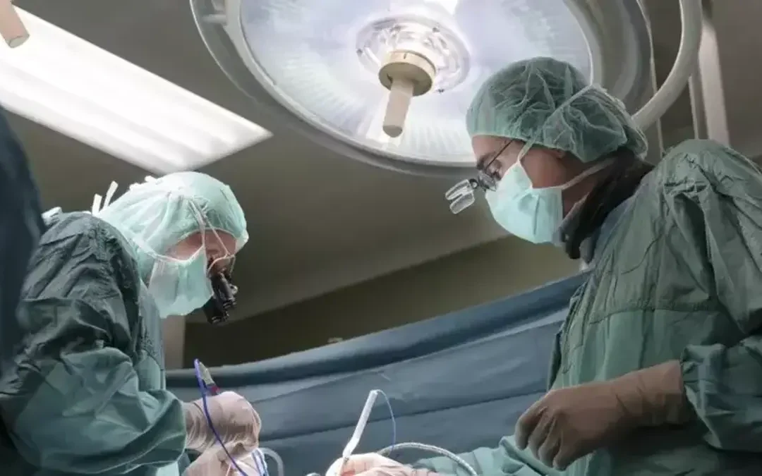 Rosarno: 5 medici Bambino Gesù a processo per la morte del piccolo Giacomo