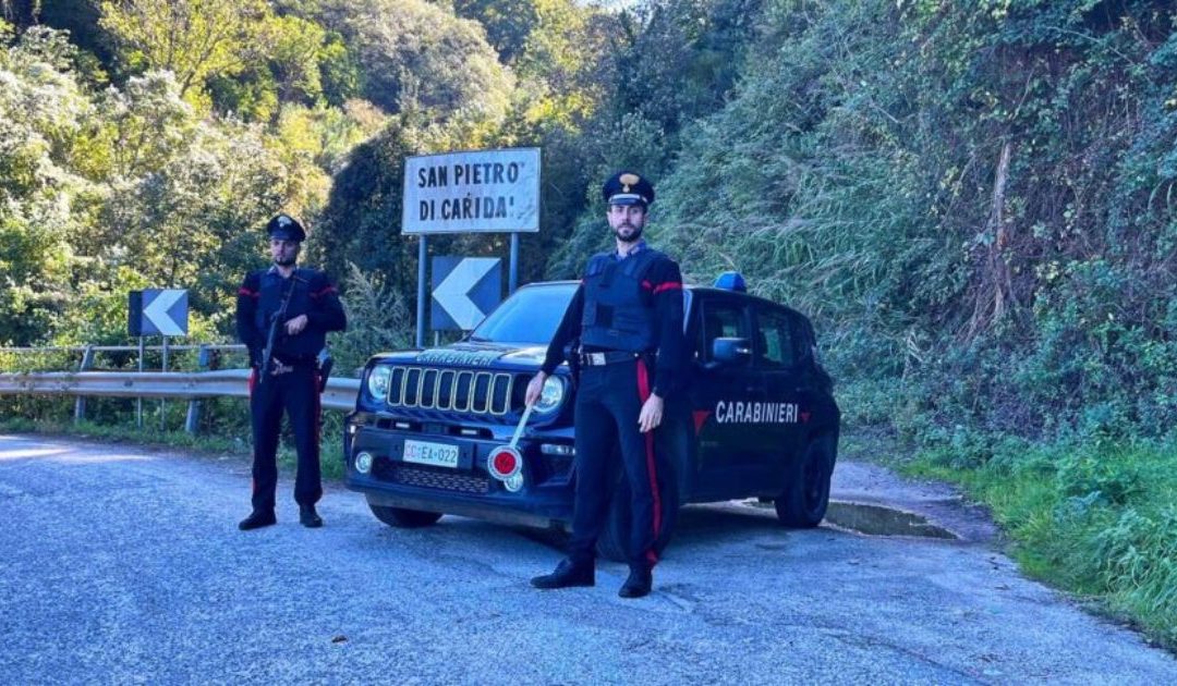 Nel reggino scoperta piantagione di canapa indiana, tre arresti