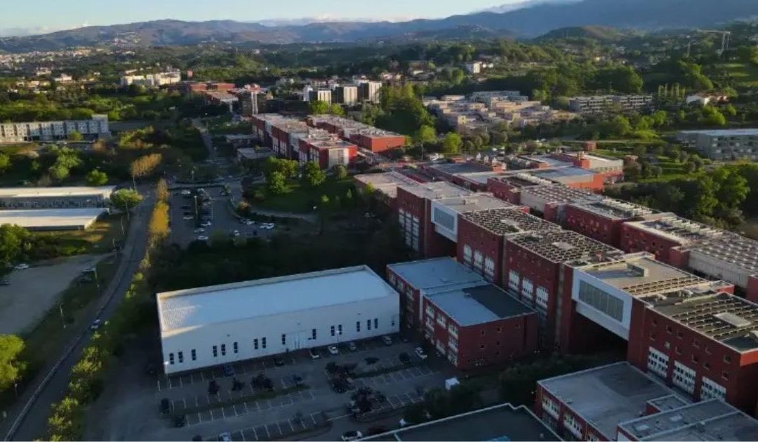 Sono 89 i docenti Unical tra i migliori ricercatori al mondo