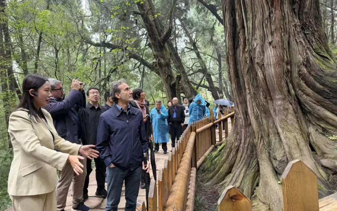 Cina-Italia: Strada per Shu e Via Appia, dialogo tra civiltà attraverso montagne e mari