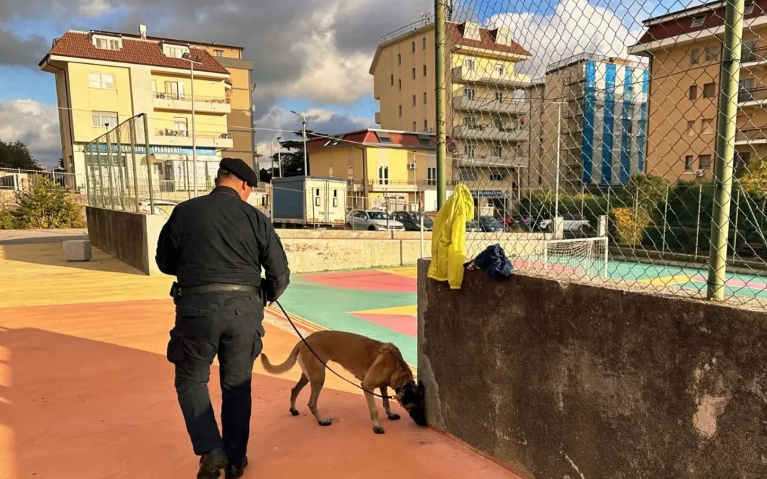 Catanzaro, cane antidroga scopre hashish nel parco di Mater Domini