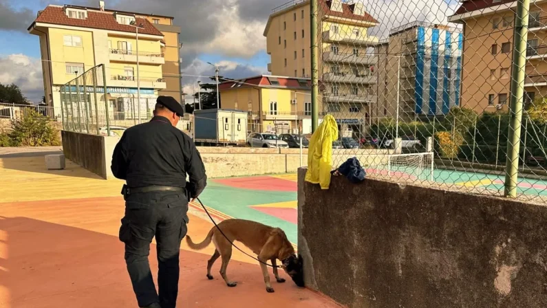 Catanzaro, cane antidroga scopre hashish nel parco di Mater Domini