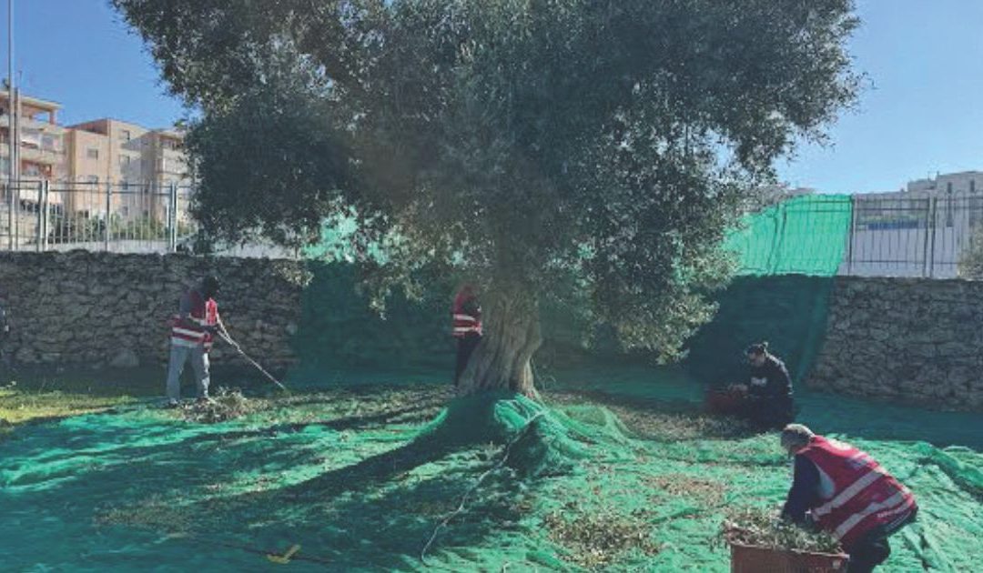 Custodi del bello: a Matera il progetto che restituisce dignità