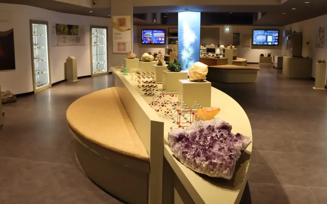 UNICAL VOICE – Zoologia, Mineralogia e Petrografia: all’Unical la scienza si fa interattiva con l’inaugurazione dei nuovi musei