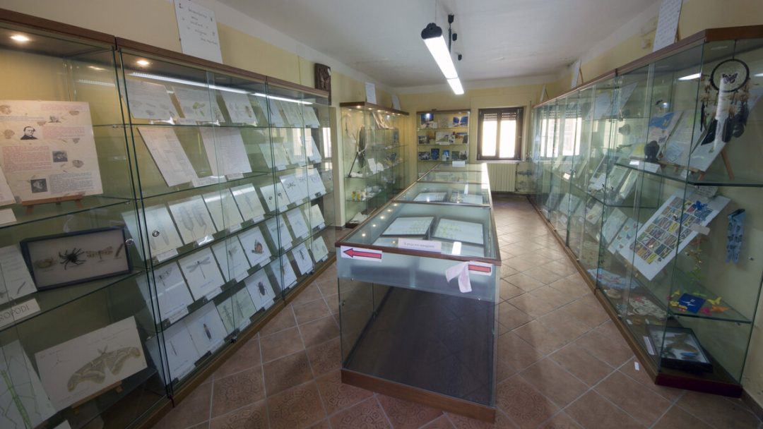 Aree interne e riscatto culturale: il caso del museo Laboratorio della Fauna Minore