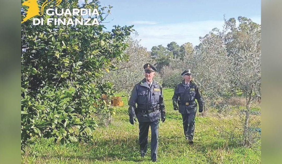 Materano, truffa ai danni di braccianti agricoli