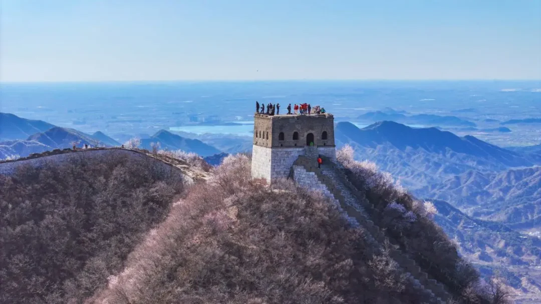 Cina: scavi su Grande Muraglia portano a importanti scoperte archeologiche