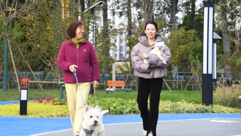Cina, Shandong spinge sull’innovazione per far crescere l’economia pet