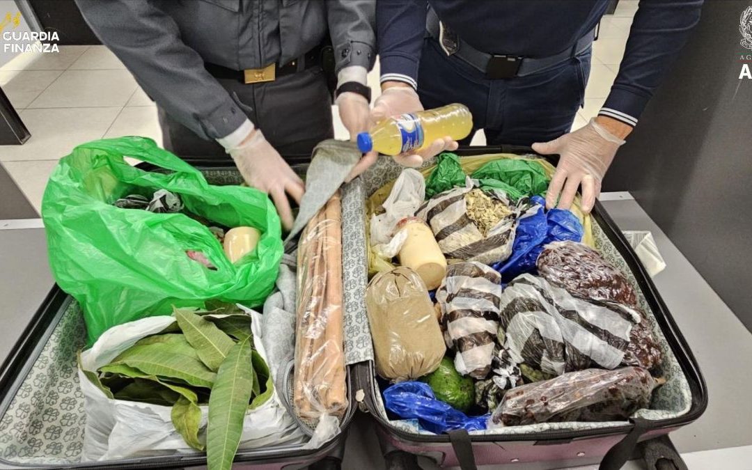 Milano, a Linate sequestrate 6,5 tonnellate di alimenti non sicuri