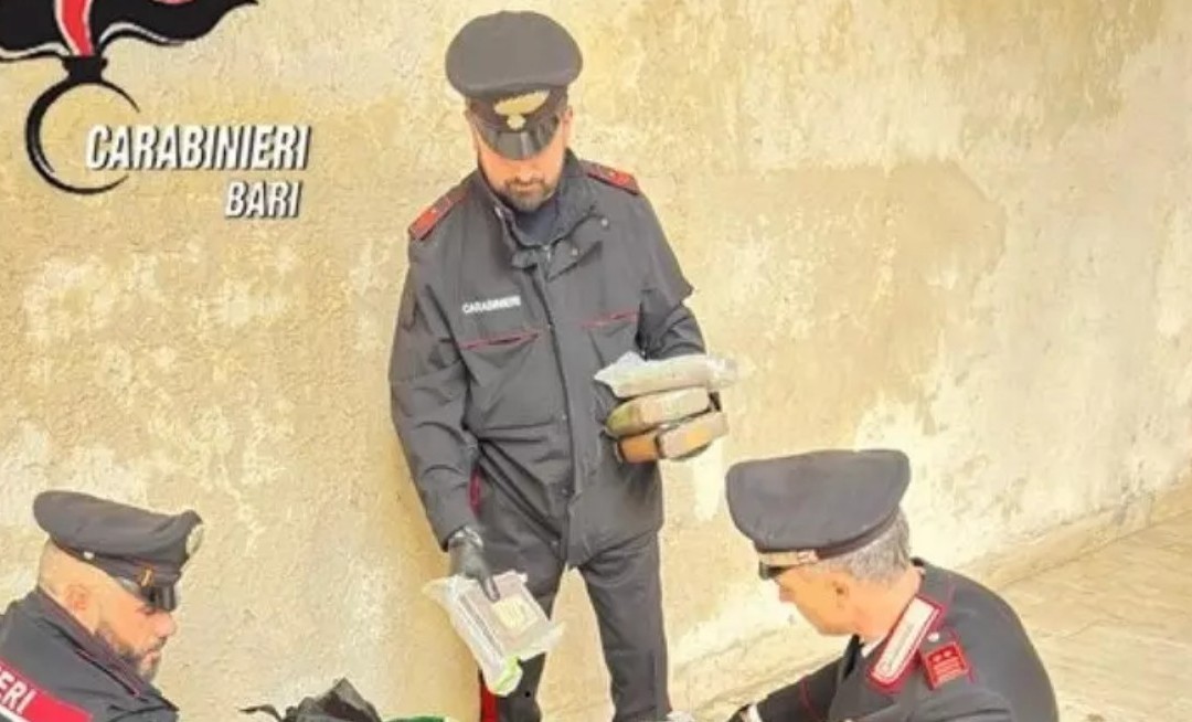 Cocaina per oltre un milione di euro occultata in azienda: due arresti a Monopoli