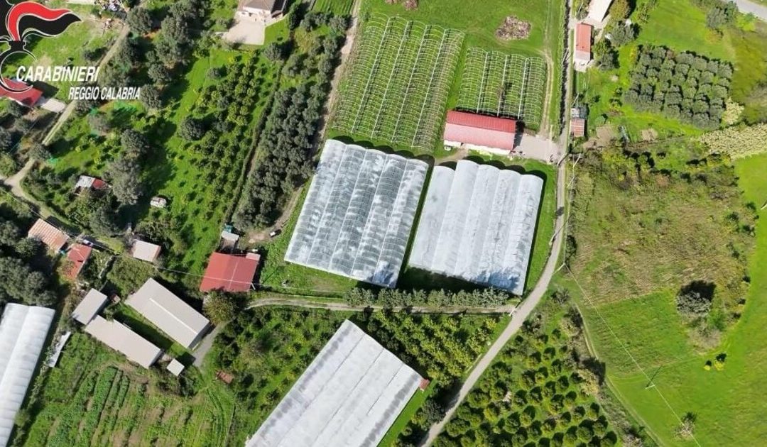 San Luca: Sequestrate 35mila metri quadrati di serre abusive