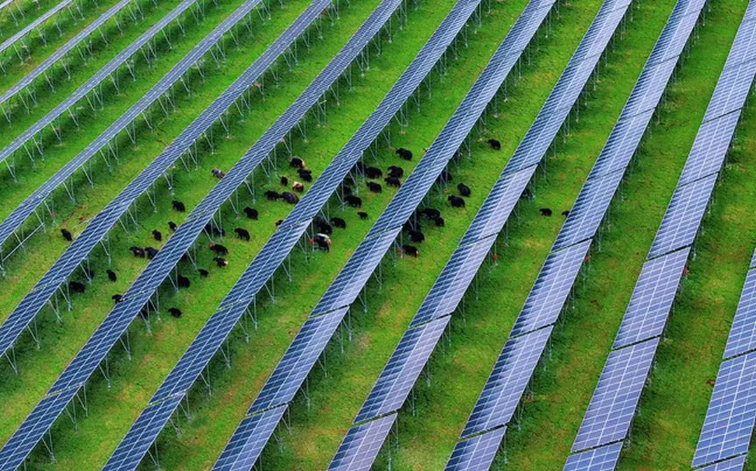 Cina, nel Sichuan attivato importante progetto fotovoltaico ad alta quota