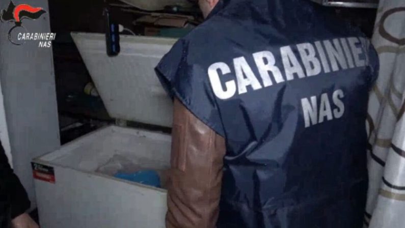 Macellazione clandestina a Salerno, sequestrati 6 quintali di carni