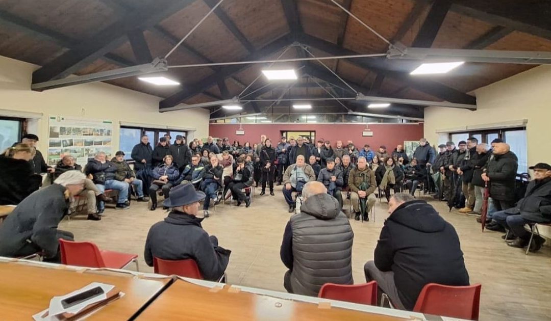 L'assemblea