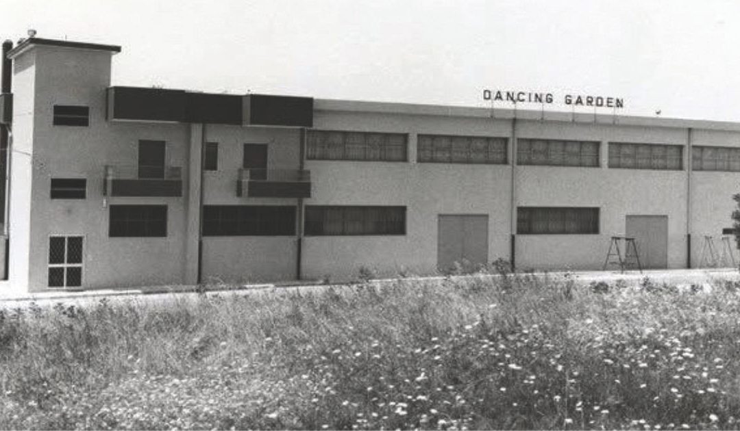 Dancing Matera