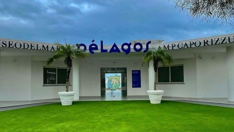 AMI, oltre 2mila scuole invitate a scoprire il Museo del Mare Pelagos e l’Area marina di Capo Rizzuto