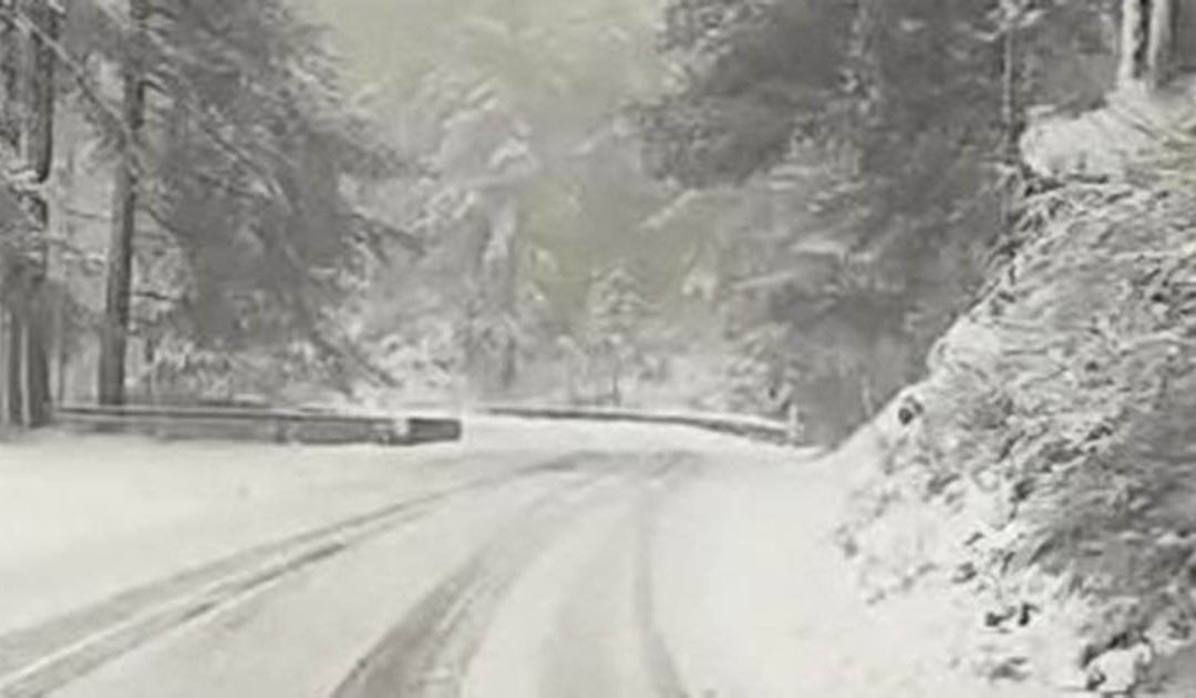 La nevicata in Sila
