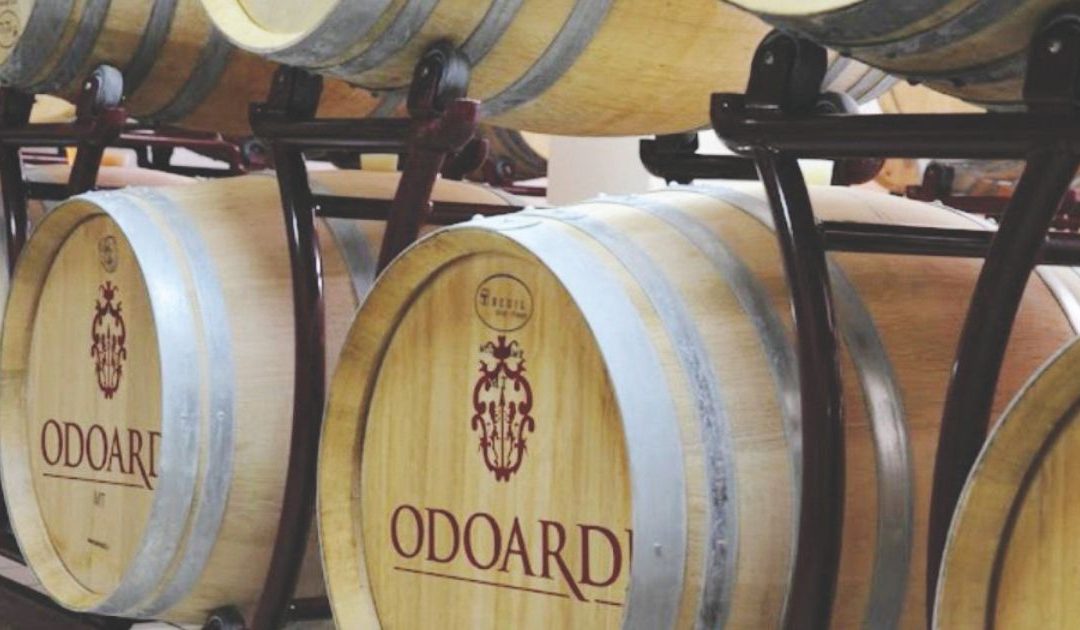 Nocera Terinese, dissequestro Odoardi, Consorzio Scavigno frena su “ripresa”