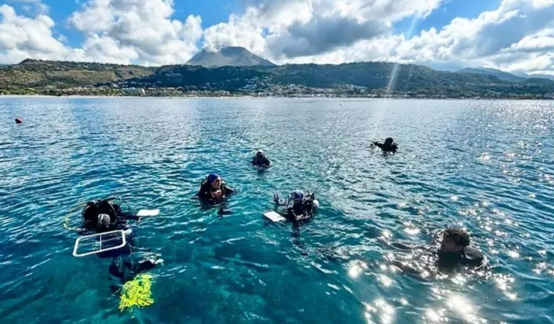 Parchi marini calabresi, direttive 2026: dalla tutela dei fondali a una nuova fruizione del mare