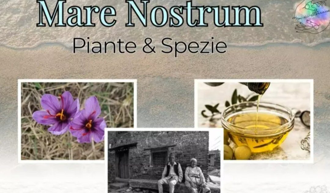 Mare Nostrum, il Cilento si racconta con un progetto che unisce identità, gusto e futuro