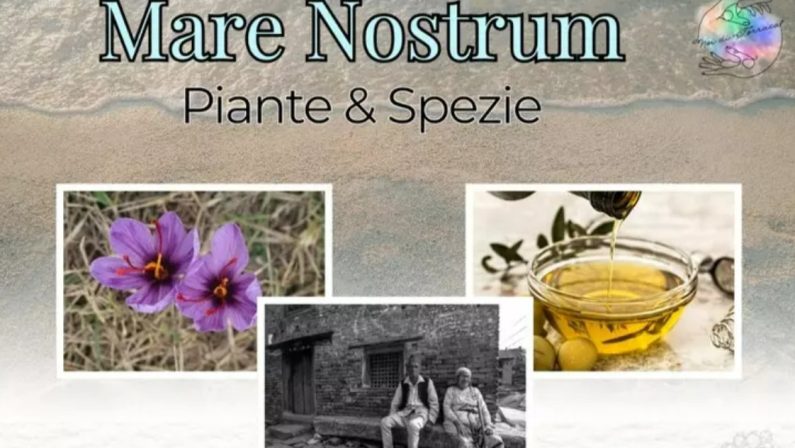 Mare Nostrum, il Cilento si racconta con un progetto che unisce identità, gusto e futuro