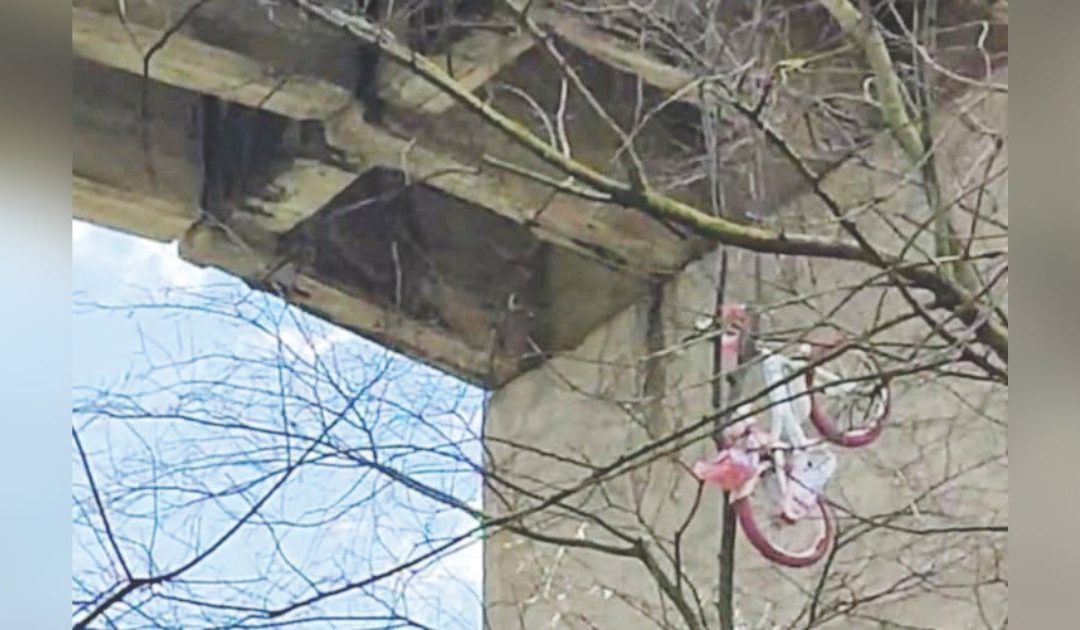 Nel lancio indiscriminato di rifiuti dal ponte sulla Timmari-Santa Chiara sacchi incastrati tra gli alberi e rifiuti di ogni genere vicino ai resti di un ponte antico