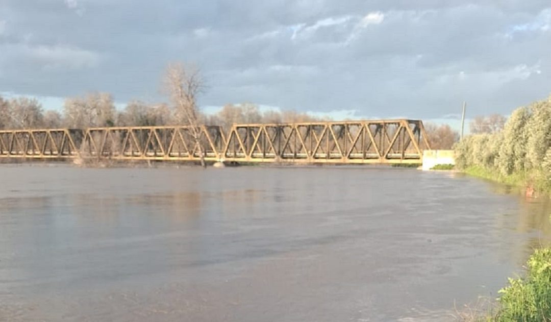 L'esondazione del Crati nella zona di Corigliano Rossano