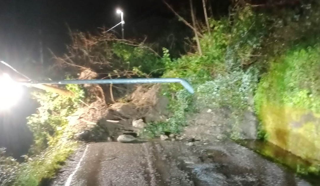 Maltempo, prima ricognizione sull’agricoltura: In tutta la Calabria settore distrutto
