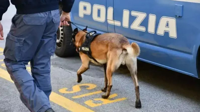 Cassano allo Ionio: sequestro di droga pronta allo spaccio