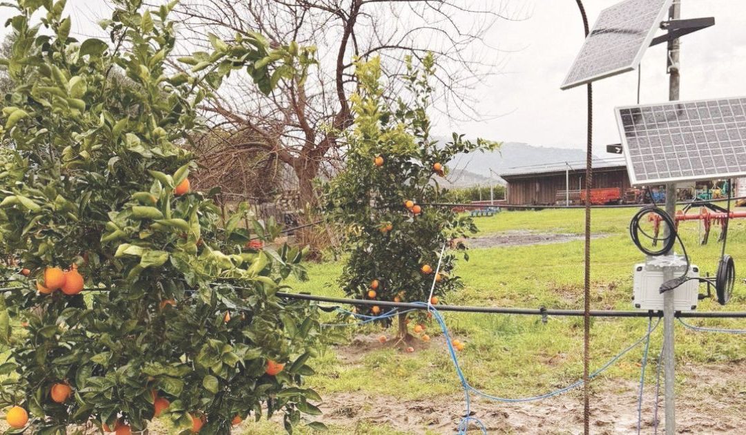 Un terreno attrezzato con sensori e strumentazioni innovative