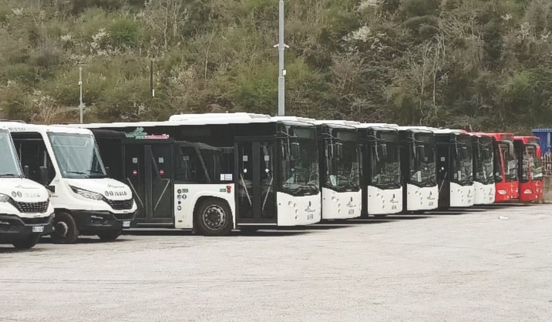 I mezzo del trasporto pubblico locale (tpl)