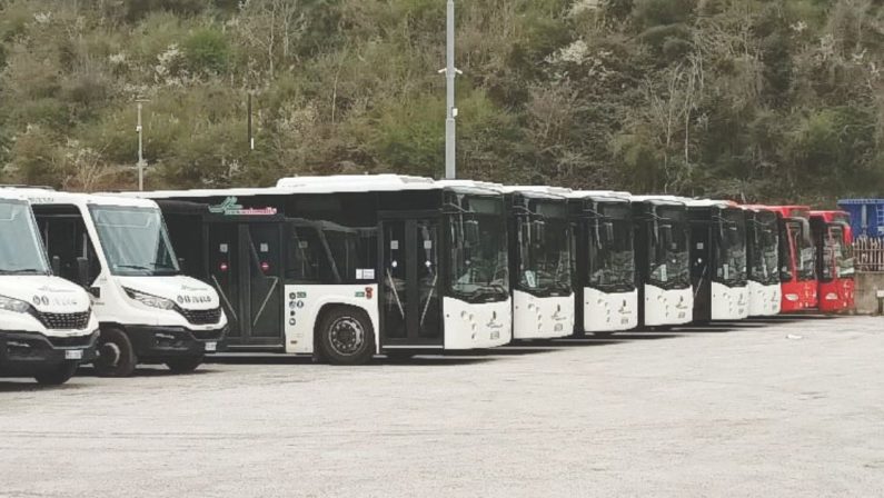 Tpl sospeso a Potenza e Matera, Miccolis vuole scegliere il lotto