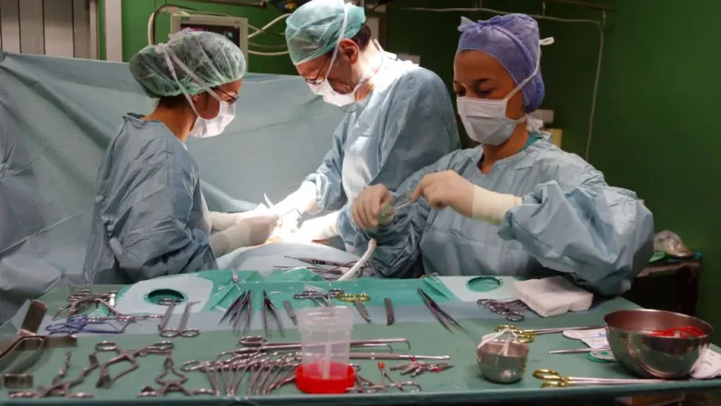 A Roma un convegno sul lavoro delle professioni sanitarie dietro i trapianti