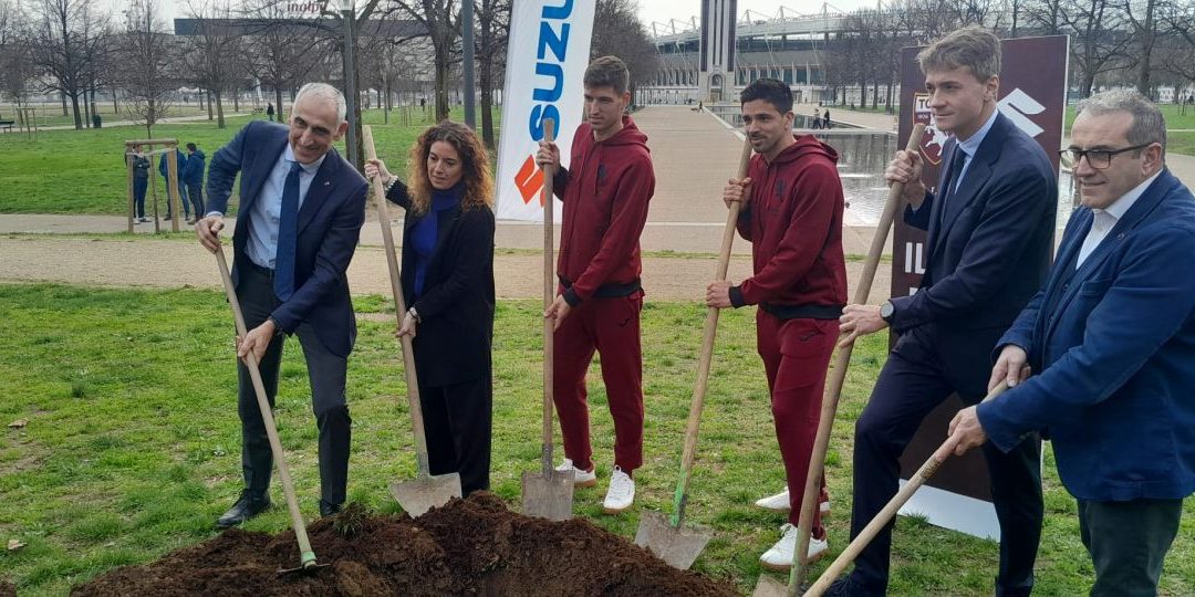 Si allarga il “Bosco diffuso Suzuki”, 29 nuovi aceri donati alla città di Torino