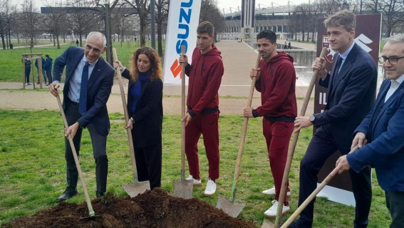 Si allarga il “Bosco diffuso Suzuki”, 29 nuovi aceri donati alla città di Torino