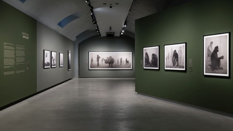 Alle Gallerie d’Italia di Torino la mostra “Nick Brandt”
