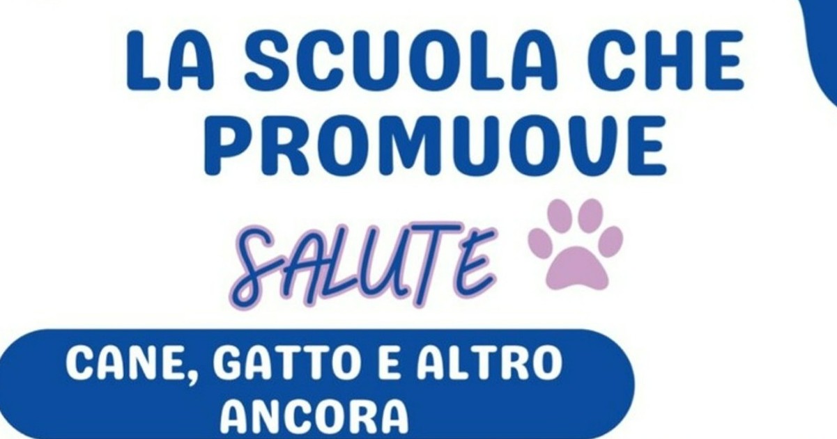 https://www.quotidianodelsud.it/wp-content/uploads/2026/03/adozioni.jpg