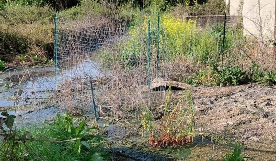 Il depuratore Calimera
