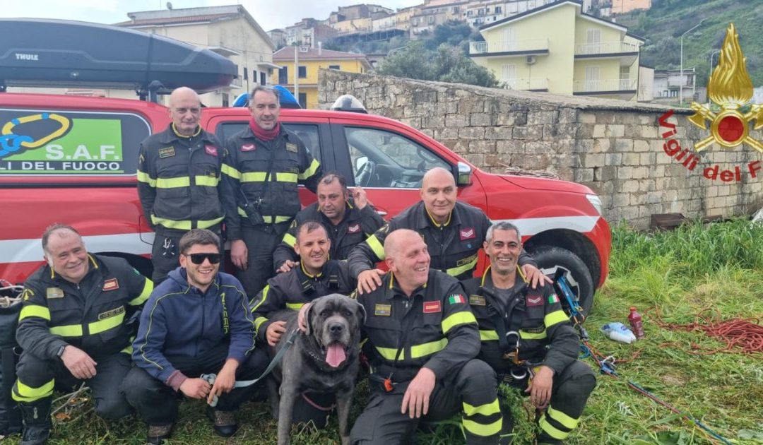Terranova da Sibari, vigili del fuoco salvano cane Corso