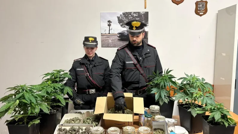 Sellia Marina, serre in casa per coltivare marijuana, arrestato 55enne