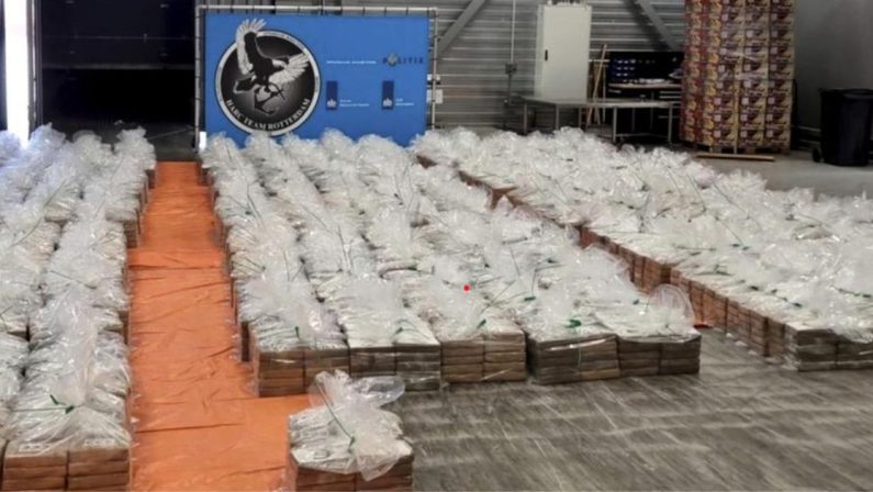 Paesi Bassi principale hub in Europa per i narcos della ‘ndrangheta